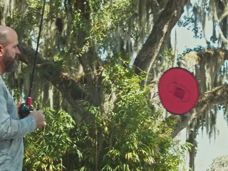 A player casting at a red target disc hung in a tree